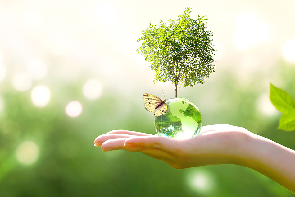 Responsabilité environnementale
